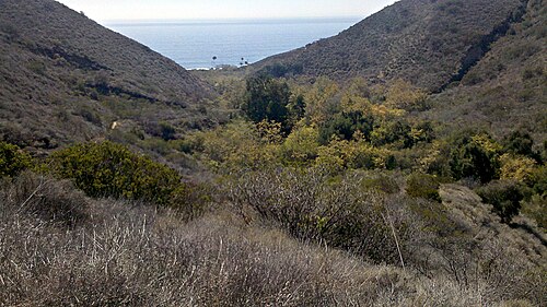 Malibu Canyon Road