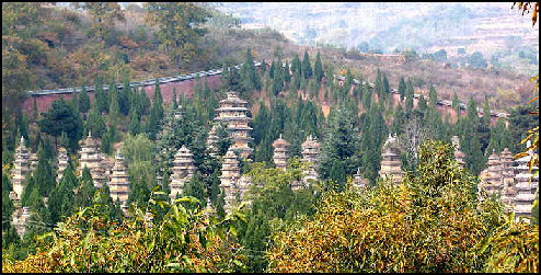 Shaolin Temple Pagoda Forest