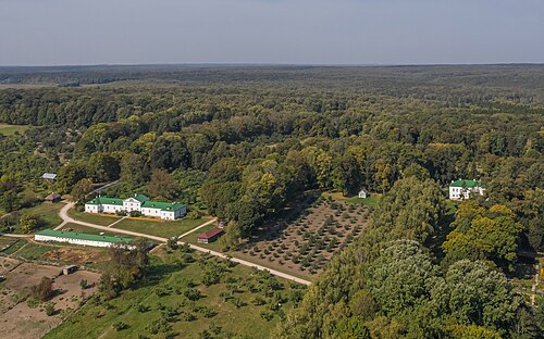 Yasnaya Polyana Field