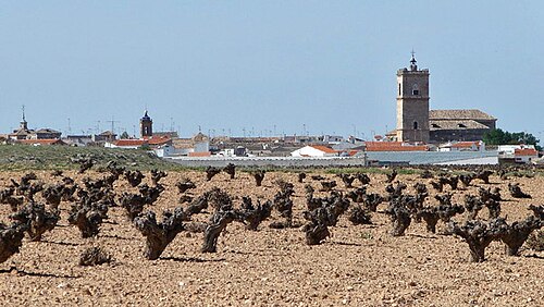 El Toboso, Dulcinea's hometown