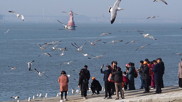 Wolmido Island, Incheon