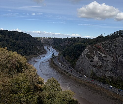 Avon Gorge (near Clifton Down)