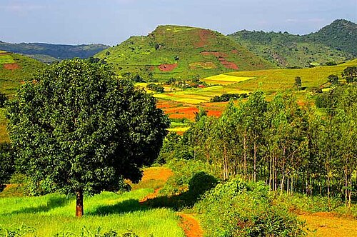 Araku Valley Viewpoint, Visakhapatnam