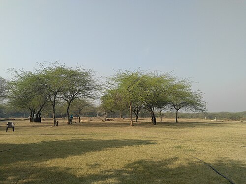 Vasant Kunj Mansion, Delhi