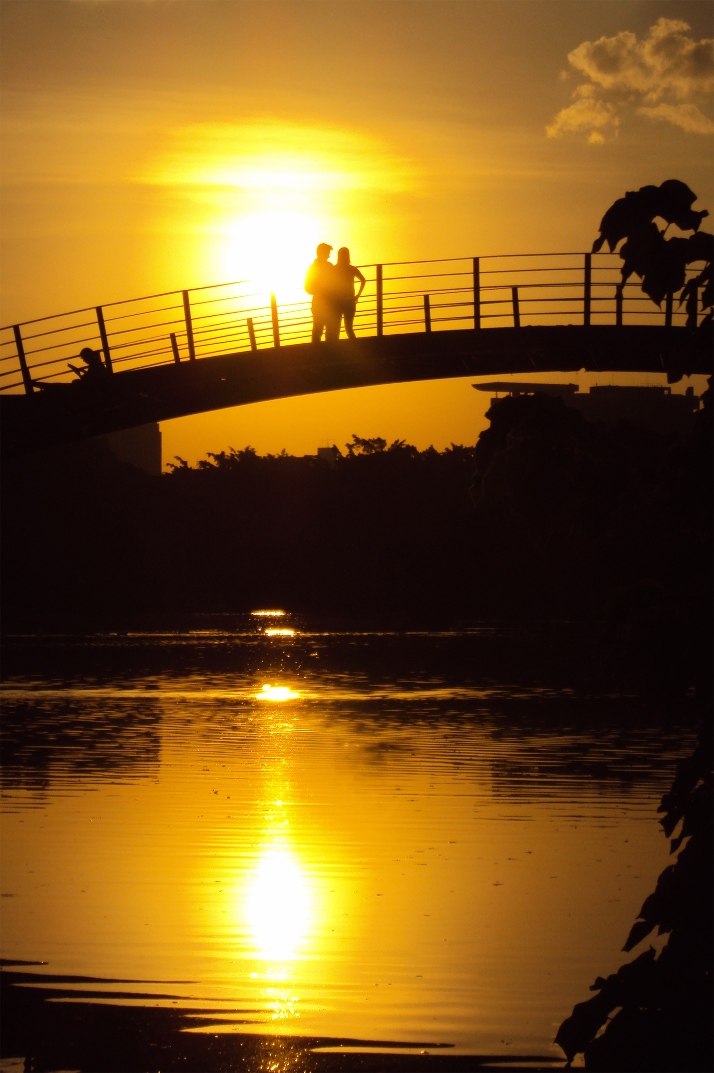 Parque da Cidade