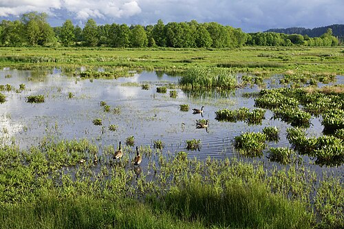 Billy Frank Jr. Nisqually National Wildlife Refuge