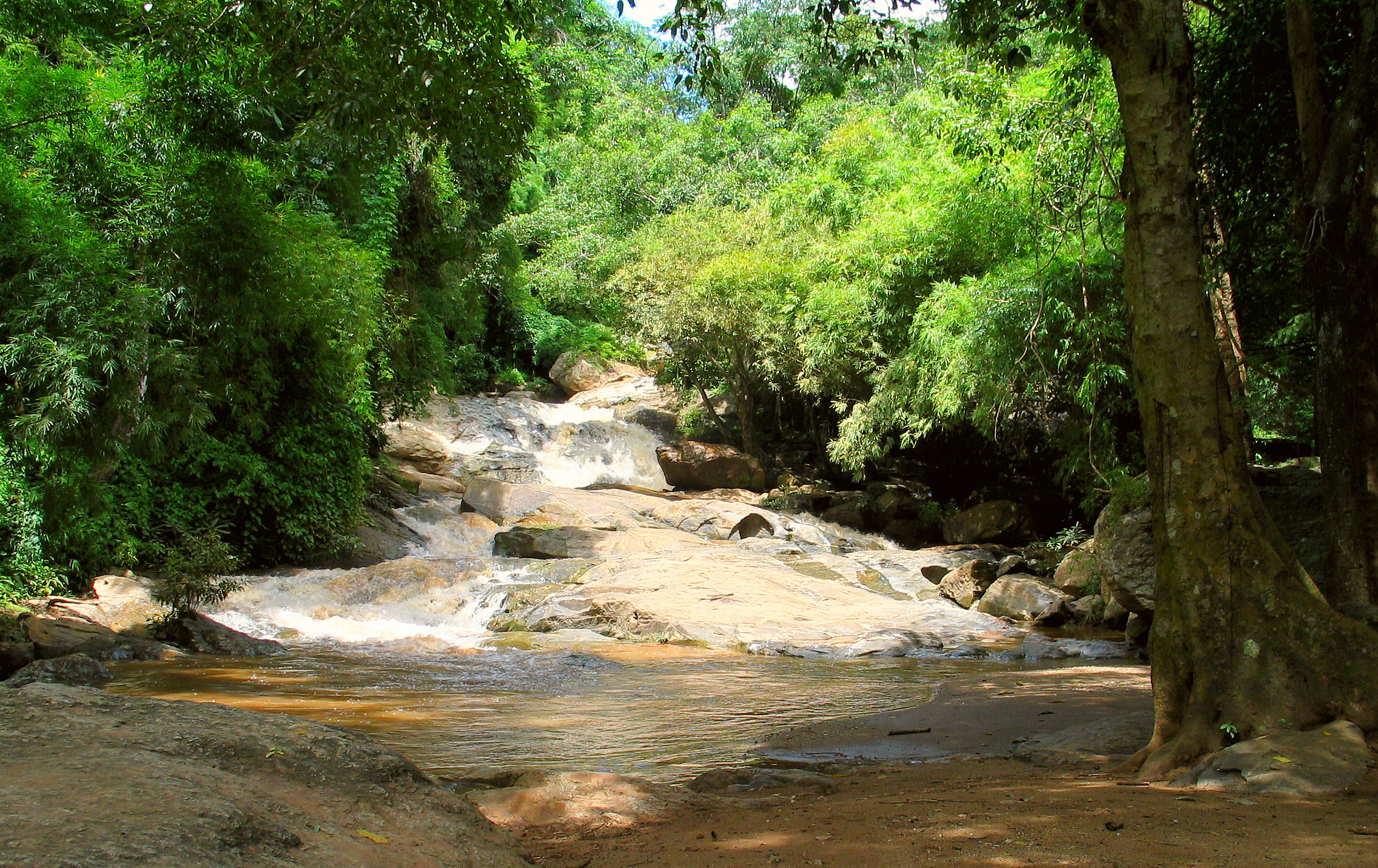Doi Suthep-Pui National Park