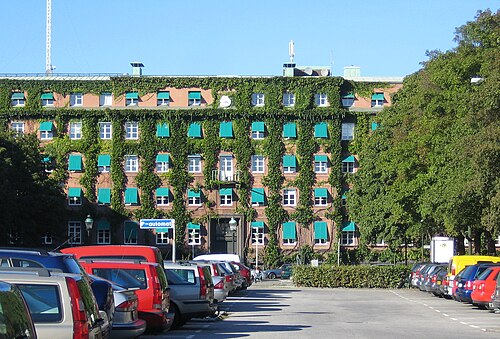 Davidshallsbron