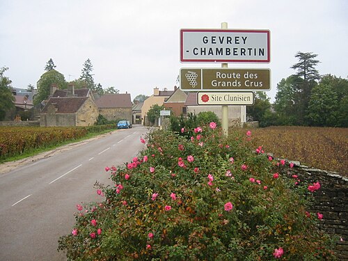 Gevrey-Chambertin Vineyards