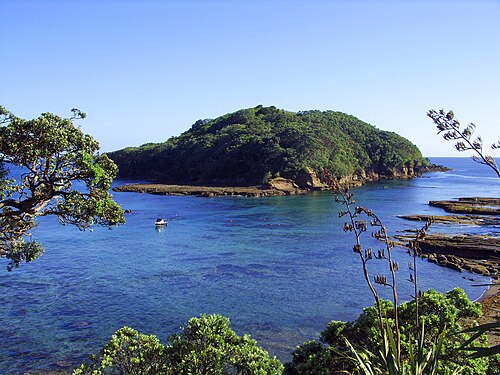 Goat Island Marine Reserve