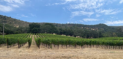 Gundlach Bundschu Winery