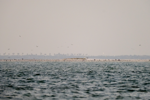 Passage Key National Wildlife Refuge