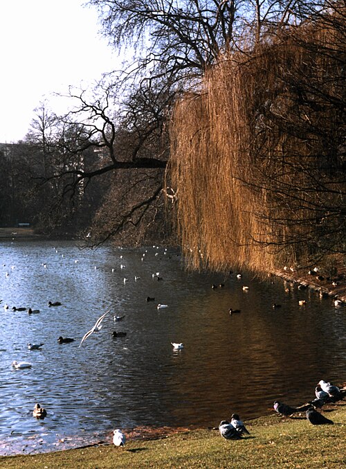 Hofgarten