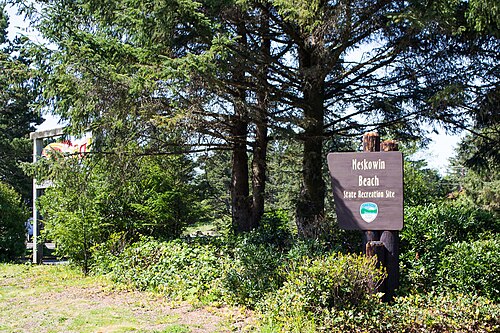 Neskowin Beach