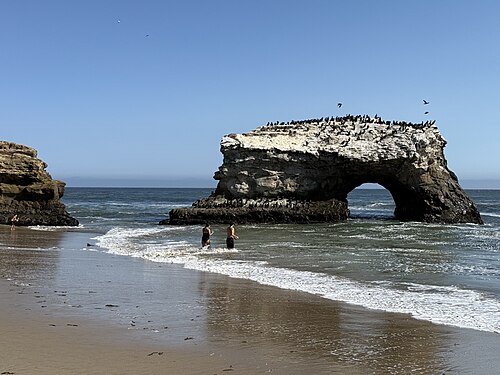 Natural Bridges State Beach