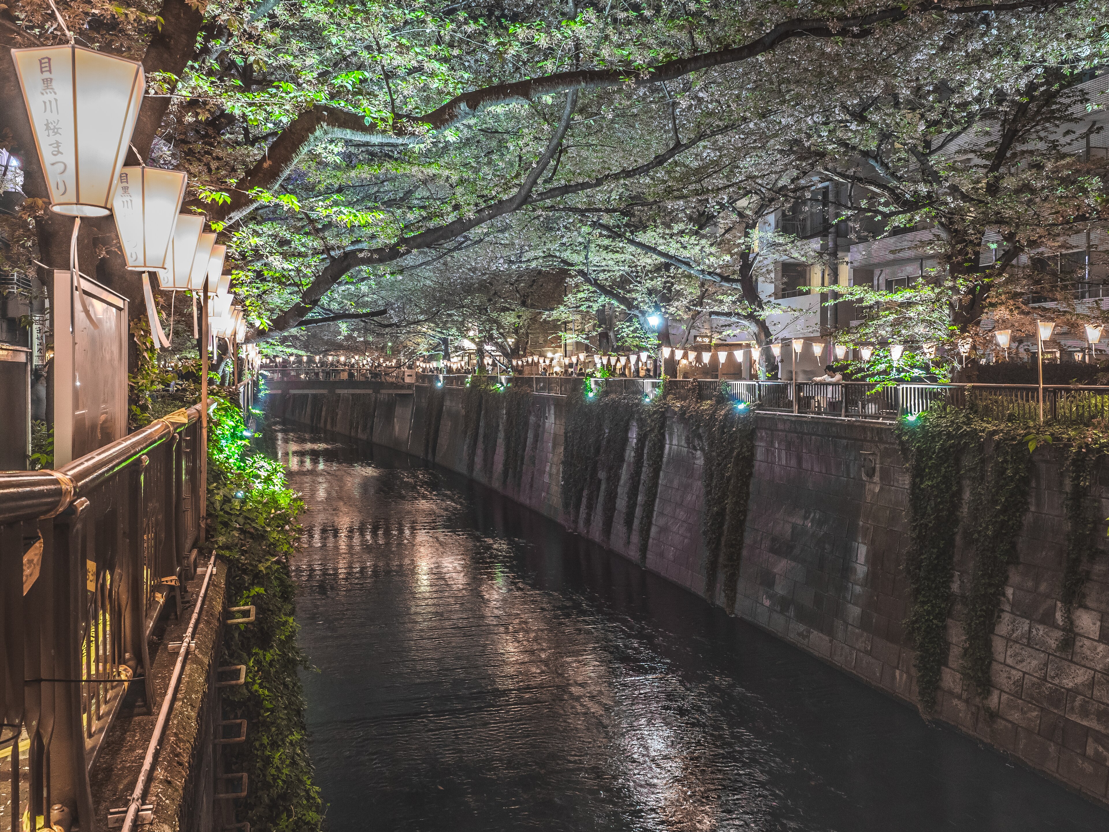 Meguro Ward