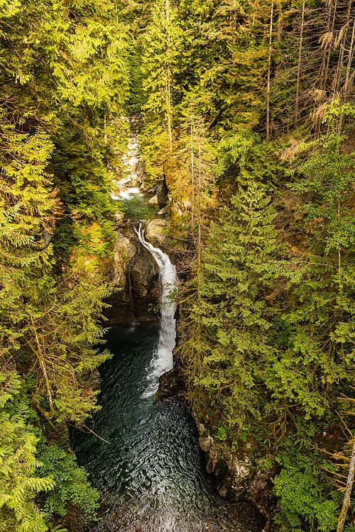 Lynn Canyon Park