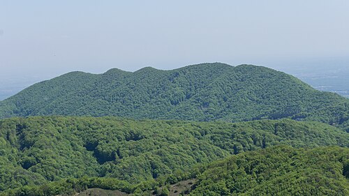 Plesivica