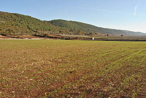 Canale di Pirro