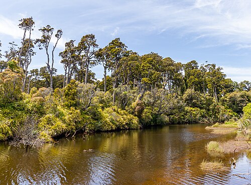 Ship Creek Walks