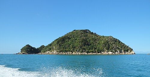 Tonga Island Marine Reserve