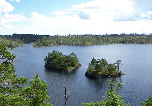 Tyresta National Park