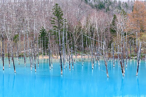 Shirogane Blue Pond