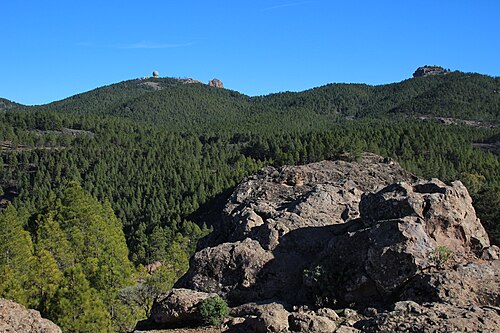 Pico De Las Nieves