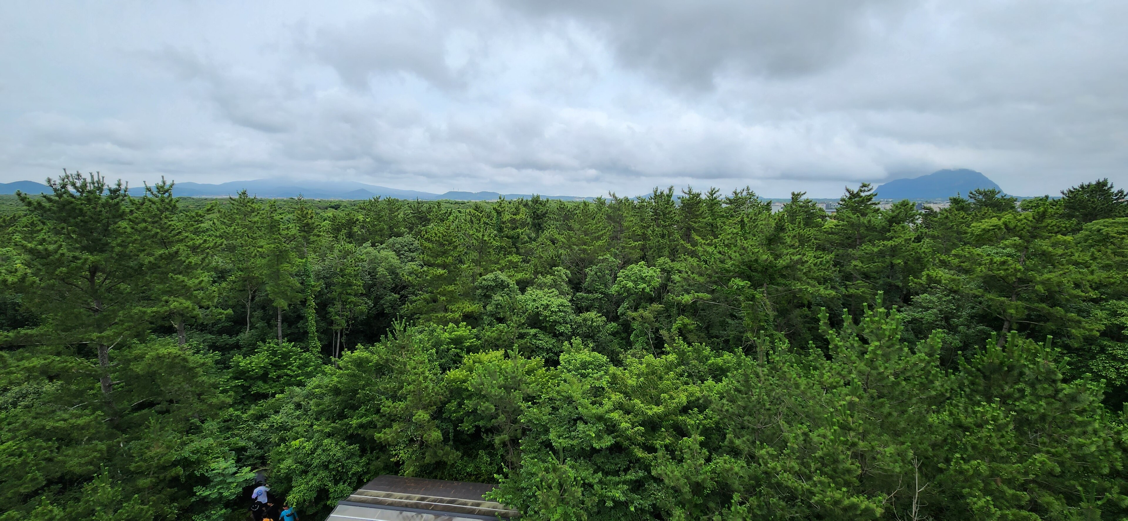 Gotjawal Provincial Park