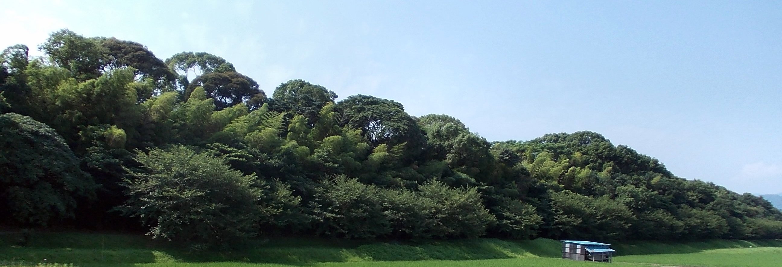 Fukuoka Castle Remains