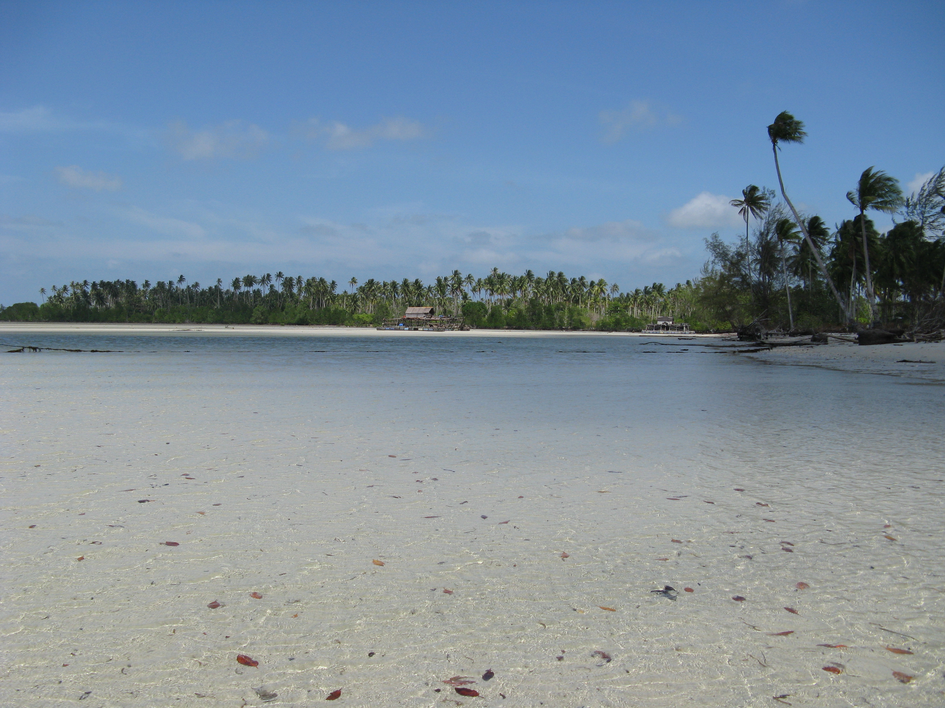 Bintan Desert