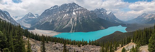 Peyto Lake Trail