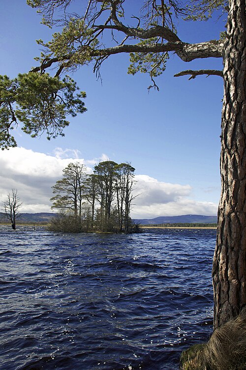 RSPB Loch Garten Nature Centre