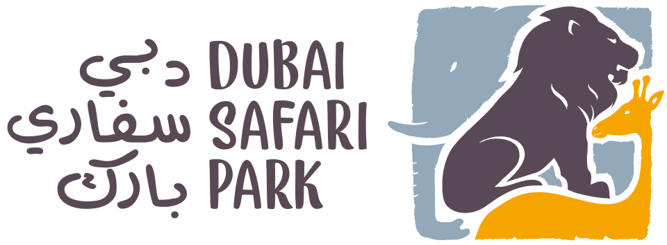 Dubai Desert Safari Tours