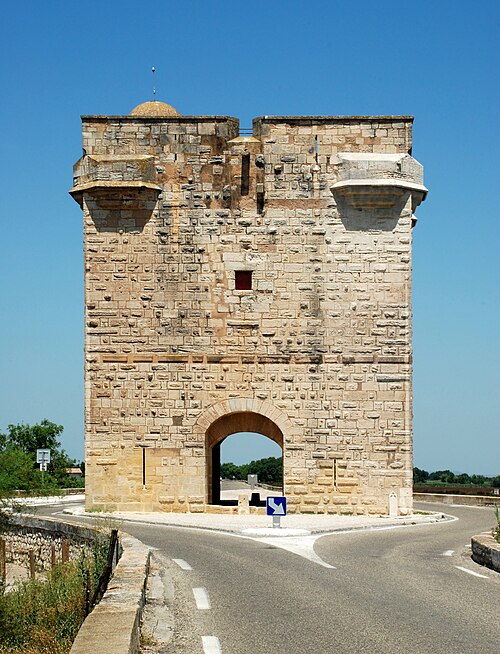 Tour Carbonniere