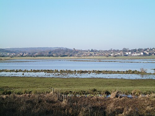 Pulborough Brooks RSPB