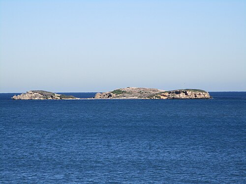 Seal Island