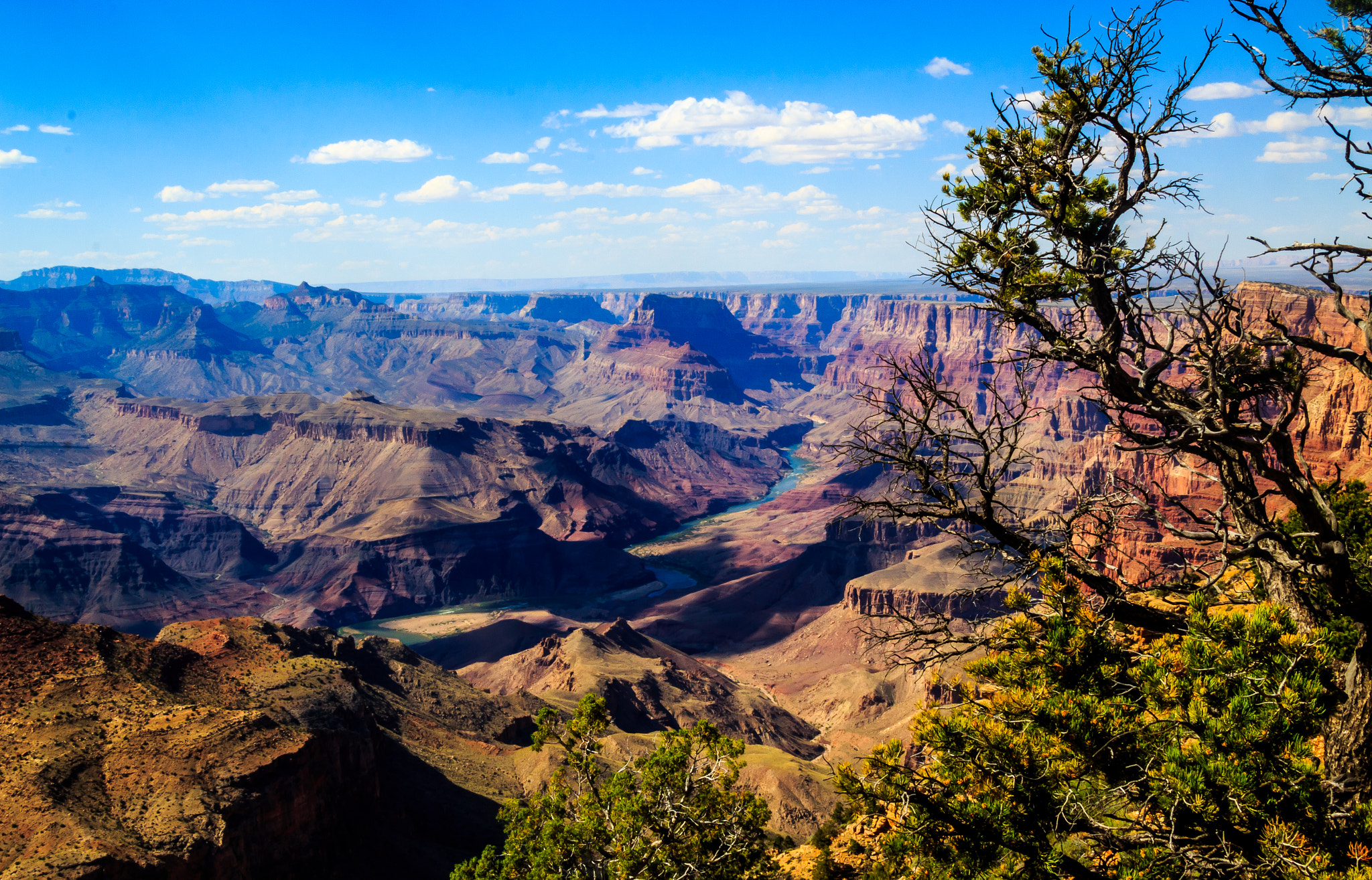 Phoenix Blue Canyon