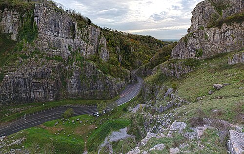 Cheddar
