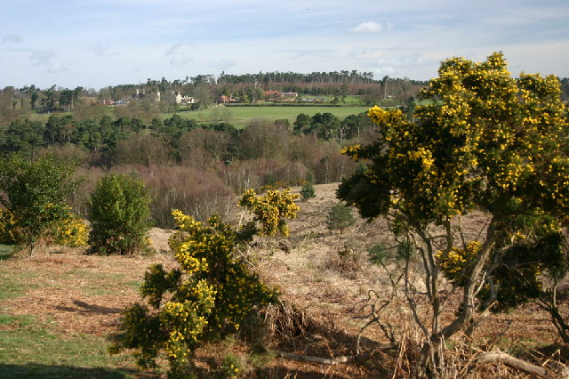 Old Lodge Nature Reserve