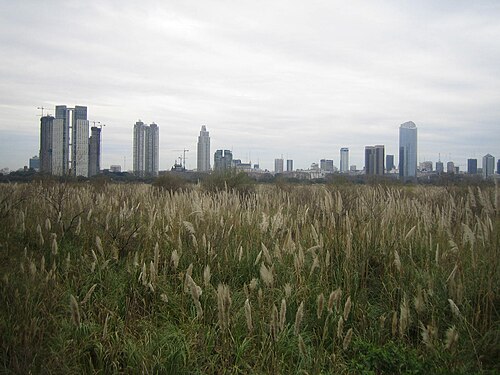 Costanera Sur