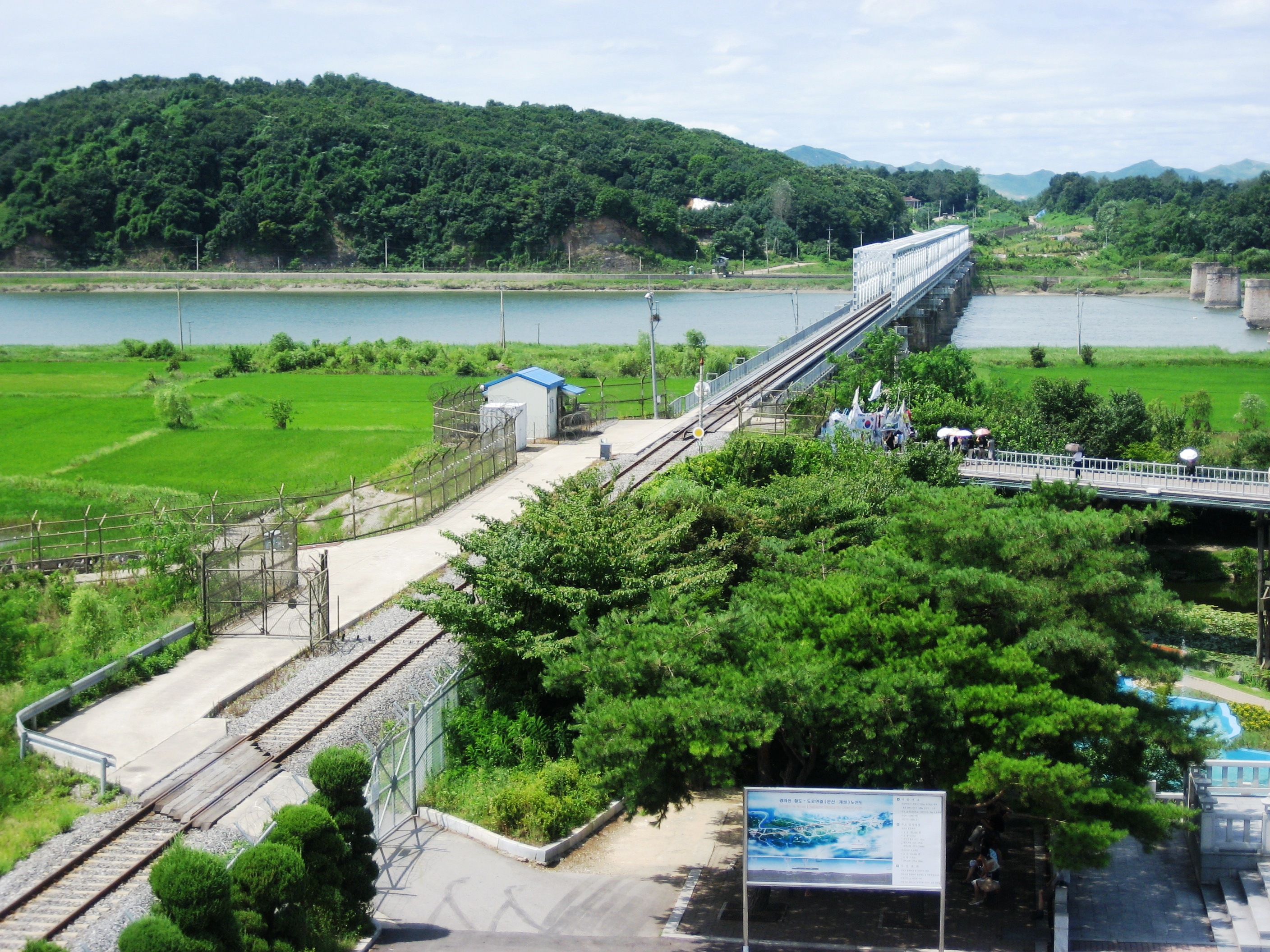 Paju
