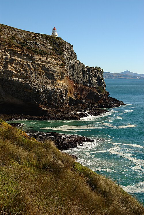 Taiaroa Head