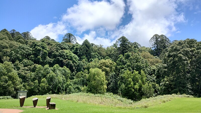 Bunya Mountains National Park