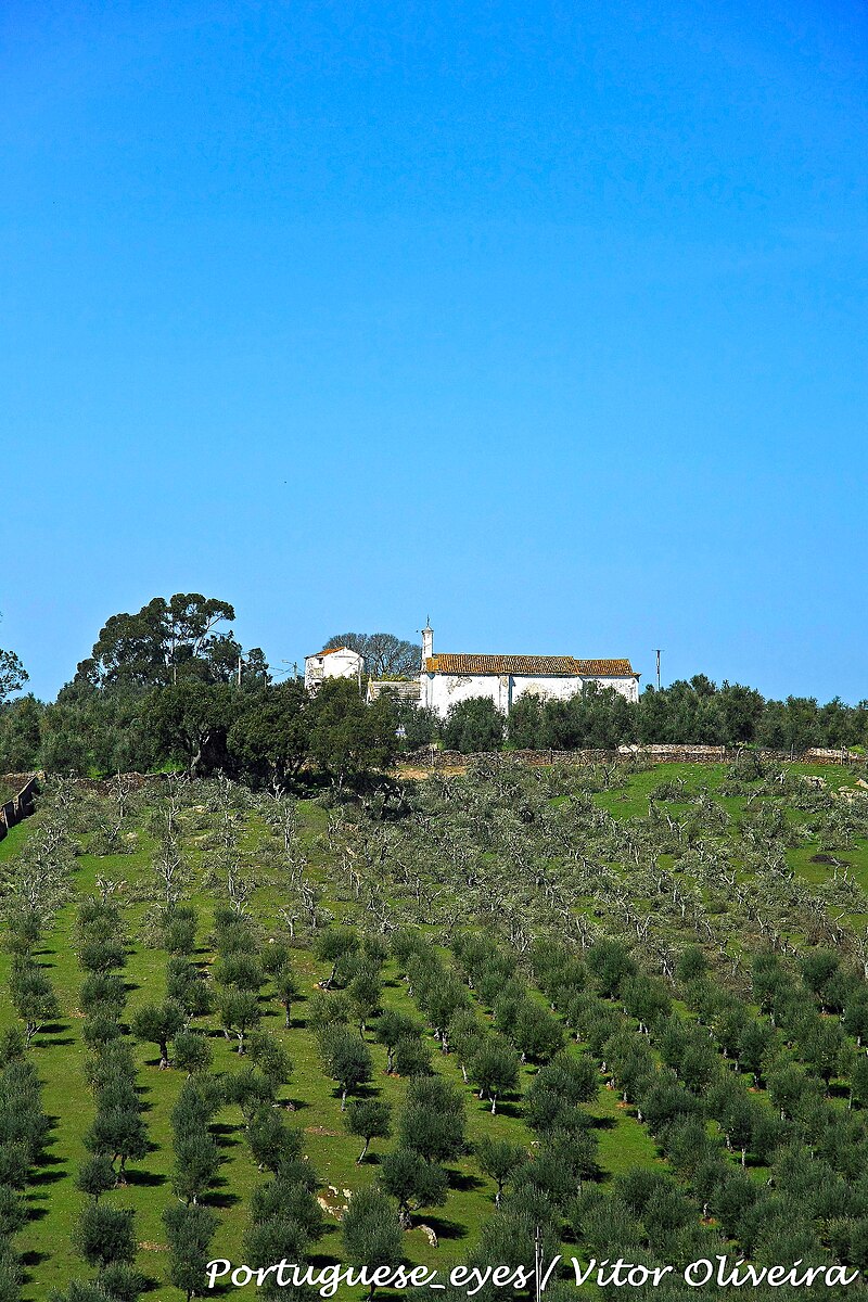 Vila Viçosa