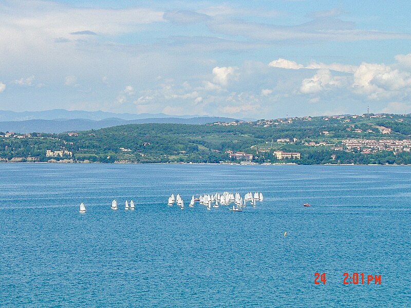 Koper