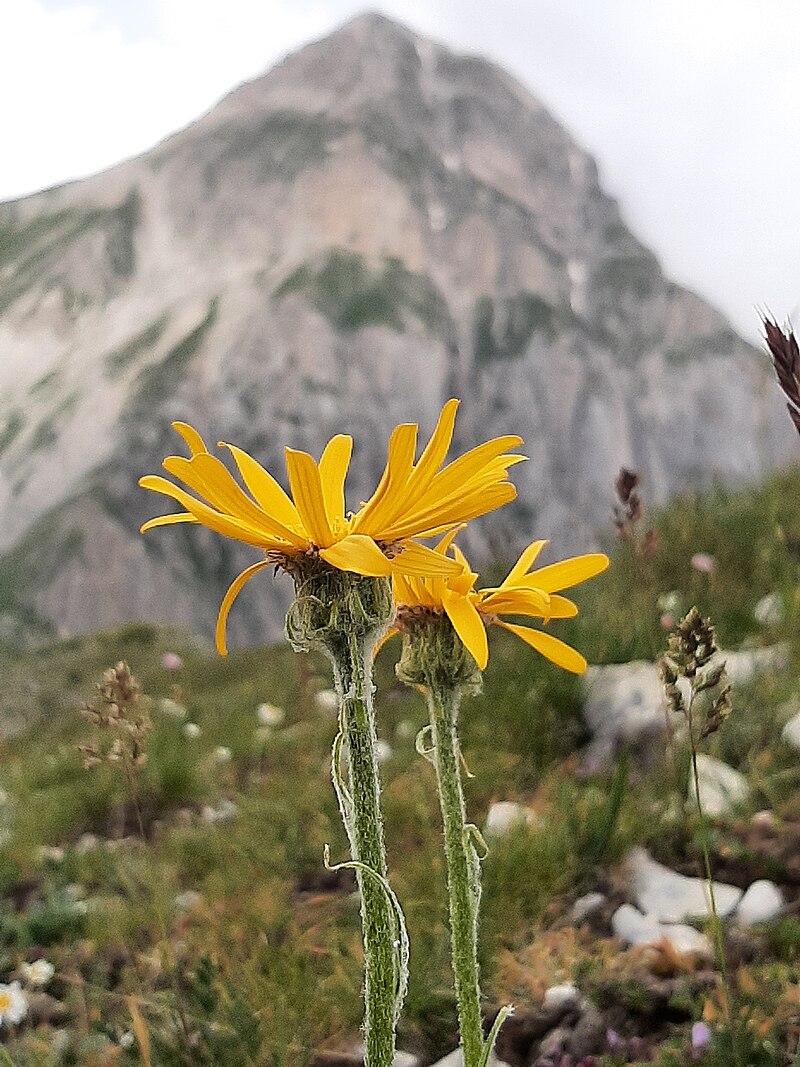Gran Sasso e Monti della Laga National Park