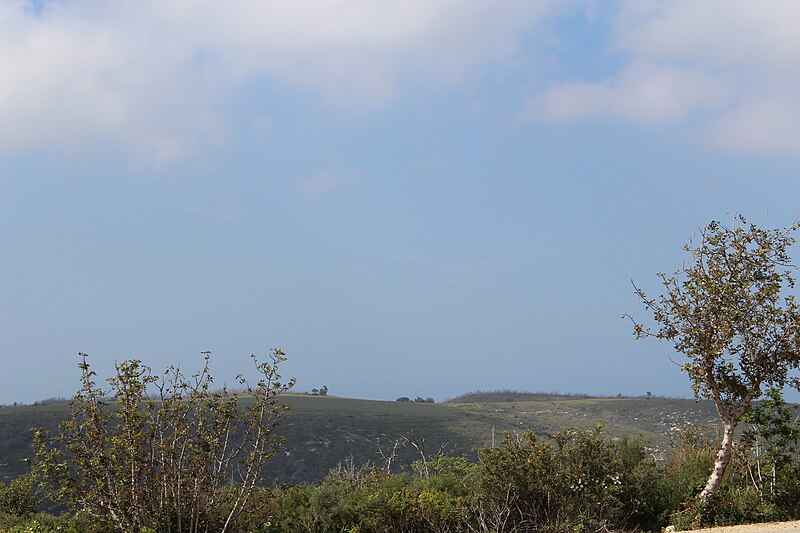 Carmel Hai-Bar Nature Reserve