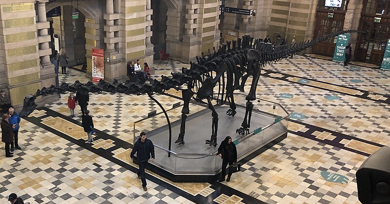 Kelvingrove Art Gallery and Museum