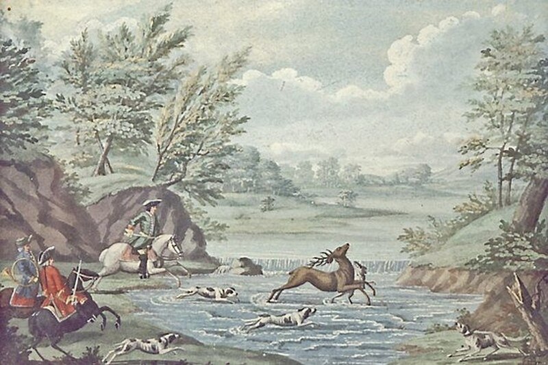 Par force hunting landscape in North Zealand